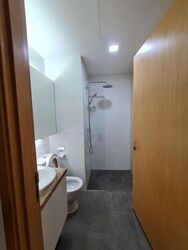 The Lincoln Residences (D11), Condominium #595206631